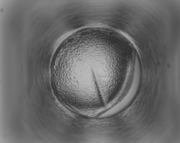 X0000057101335200509301607