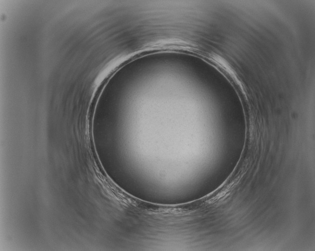 X0000057101336200509301607