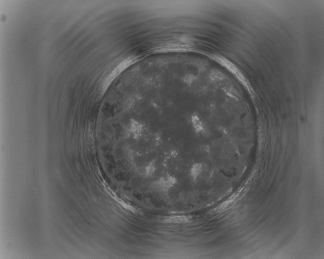 X0000057101337200509301607