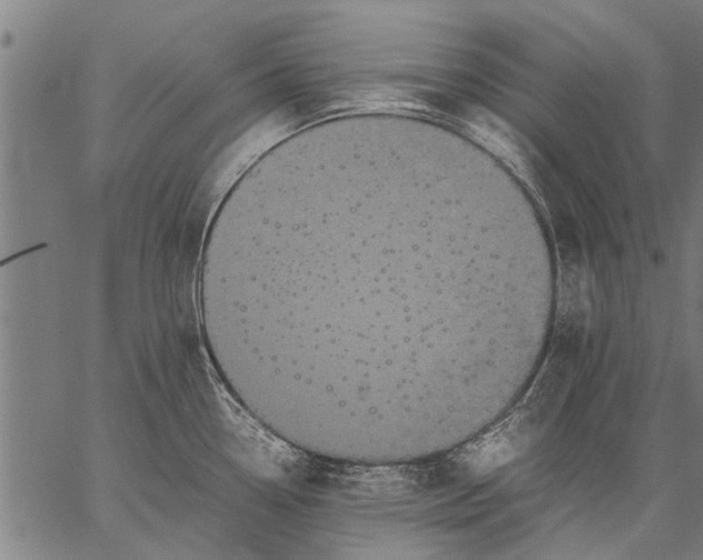 X0000057101338200509301607