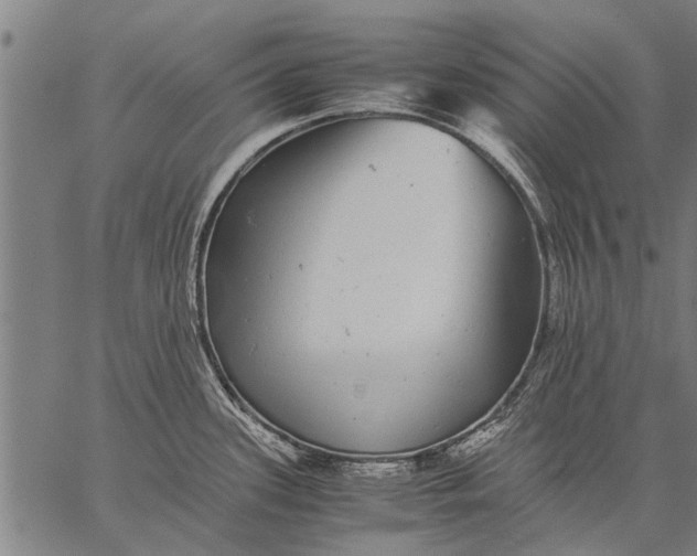 X0000057101339200509301607