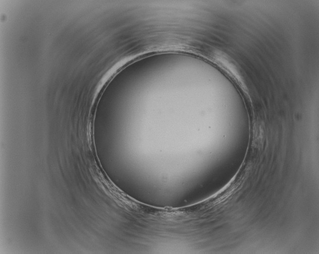 X0000057101340200509301607