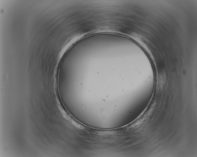 X0000057101341200509301607