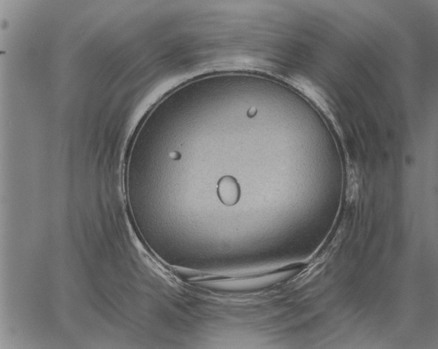 X0000057101342200509301607