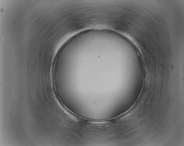 X0000057101343200509301607