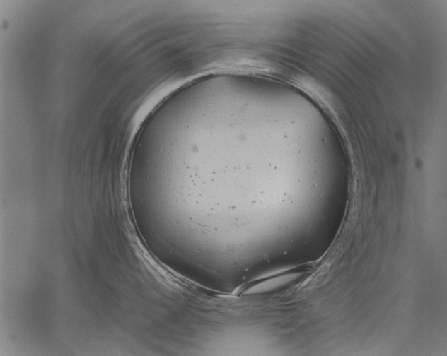 X0000057101344200509301607