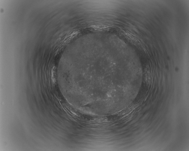 X0000057101346200509301606