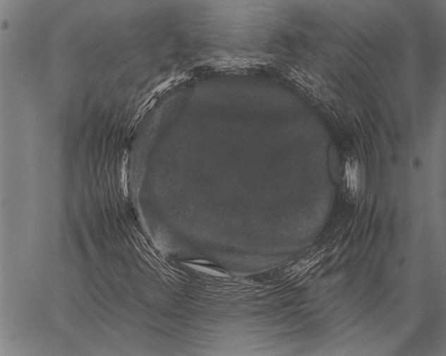 X0000057101348200509301606