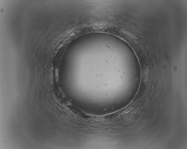 X0000057101349200509301606