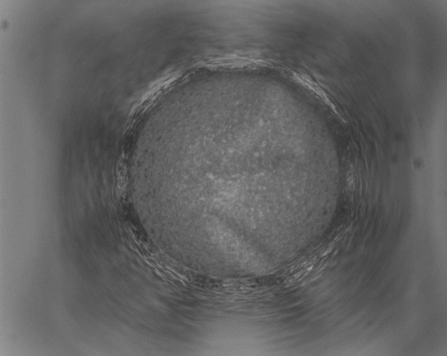 X0000057101350200509301606