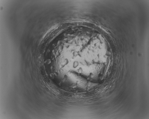 X0000057101351200509301606