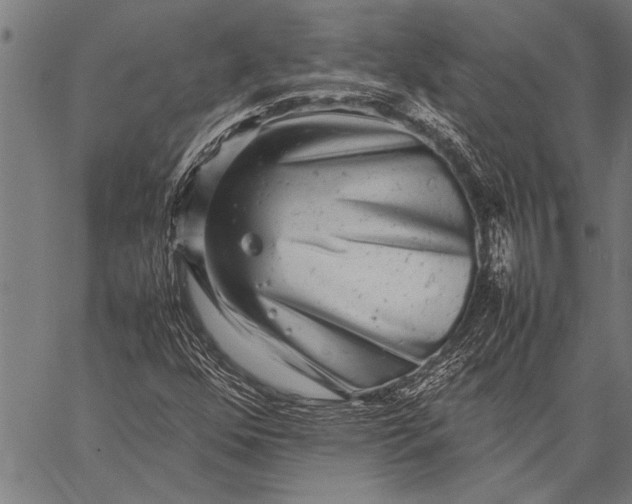 X0000057101352200509301606