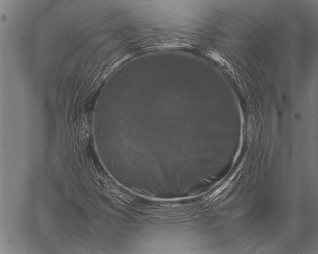 X0000057101353200509301606