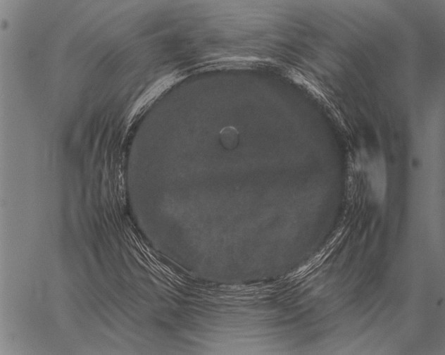 X0000057101354200509301606