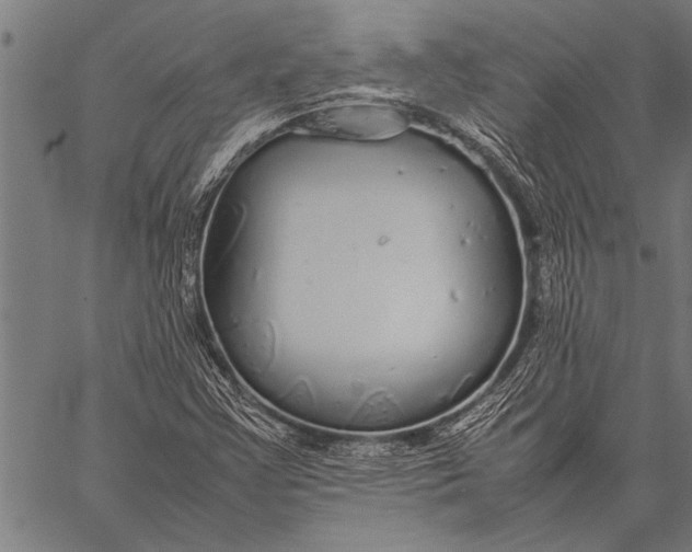 X0000057101355200509301606