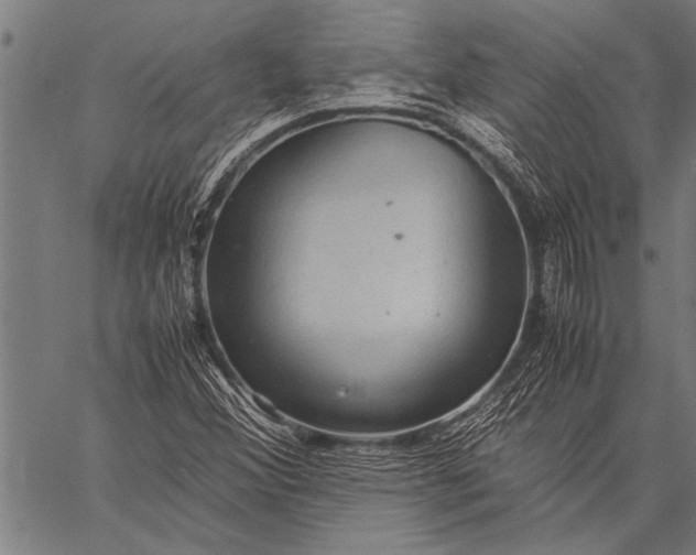 X0000057101356200509301606