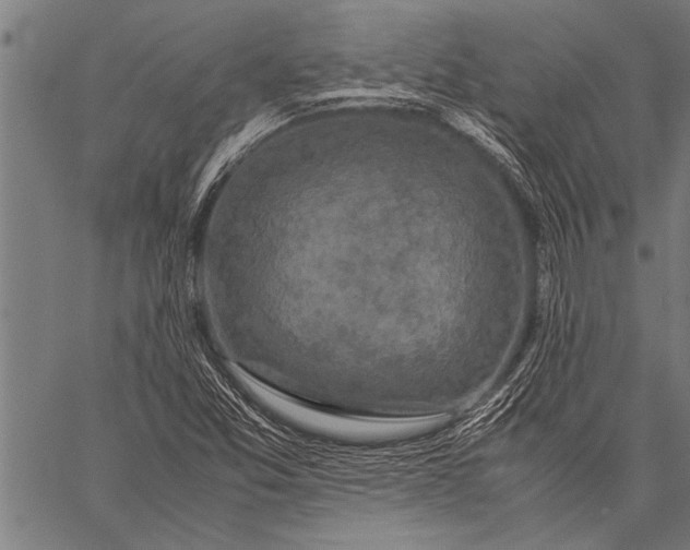 X0000057101357200509301606