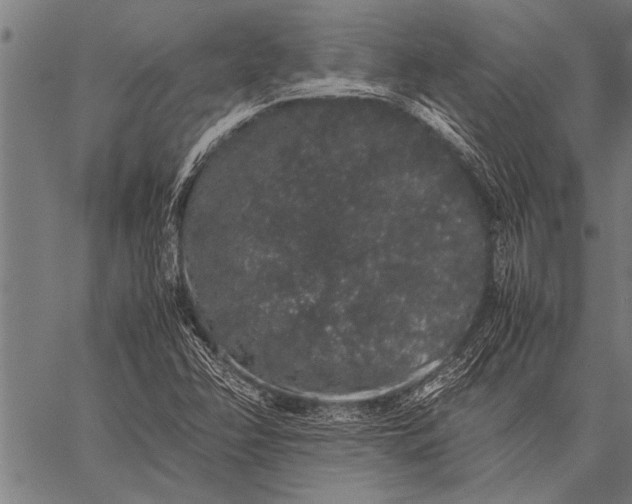 X0000057101358200509301606