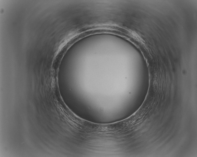 X0000057101360200509301606