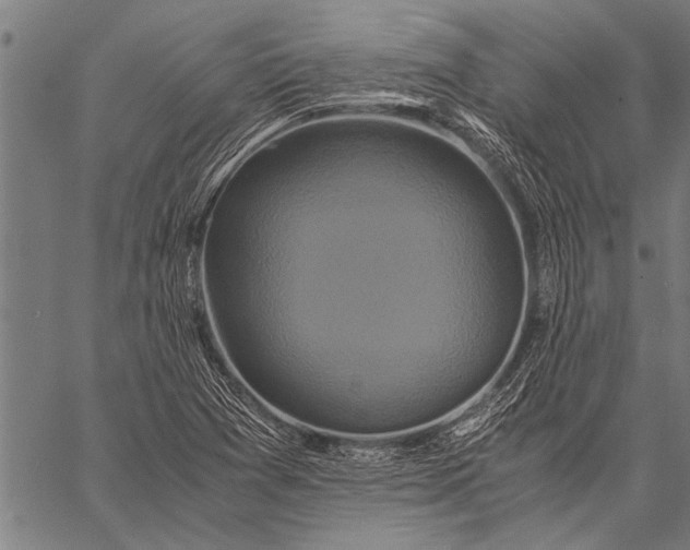 X0000057101361200509301606