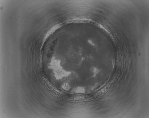 X0000057101362200509301606