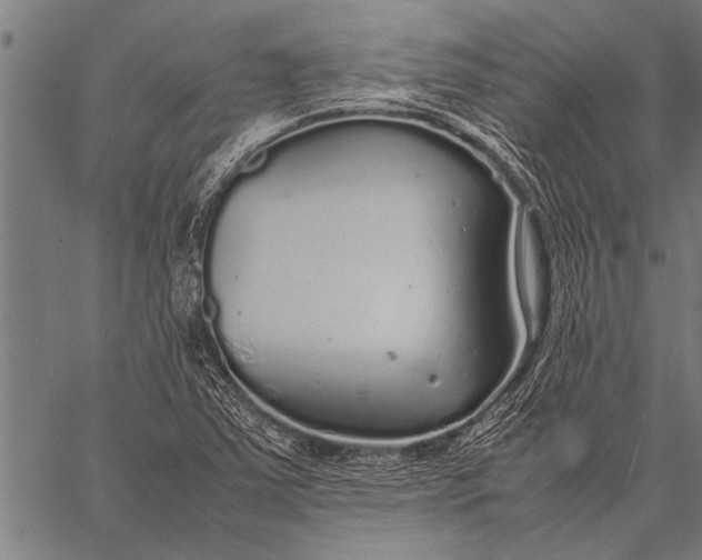 X0000057101363200509301606