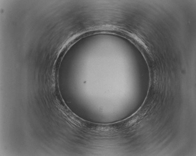 X0000057101364200509301606