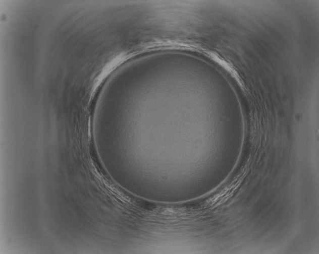 X0000057101365200509301606