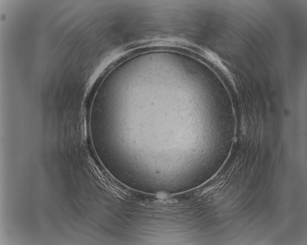 X0000057101368200509301606