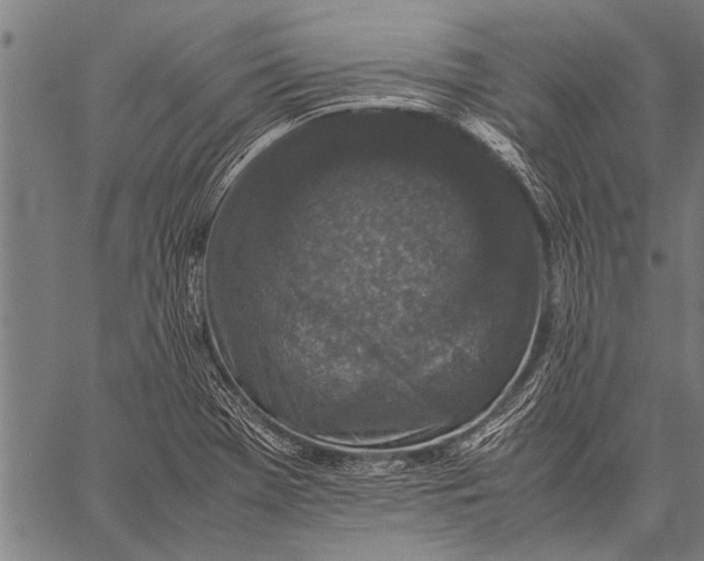 X0000057101369200509301606