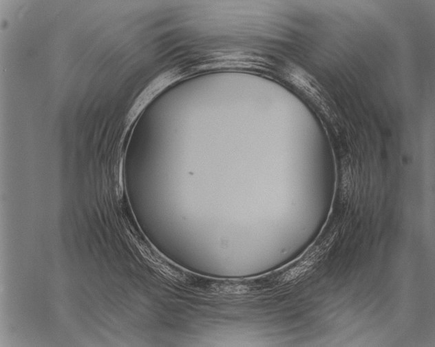 X0000057101370200509301606