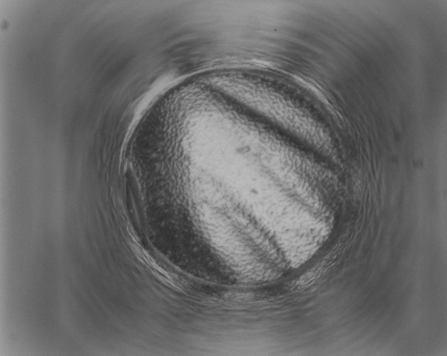 X0000057101371200509301606