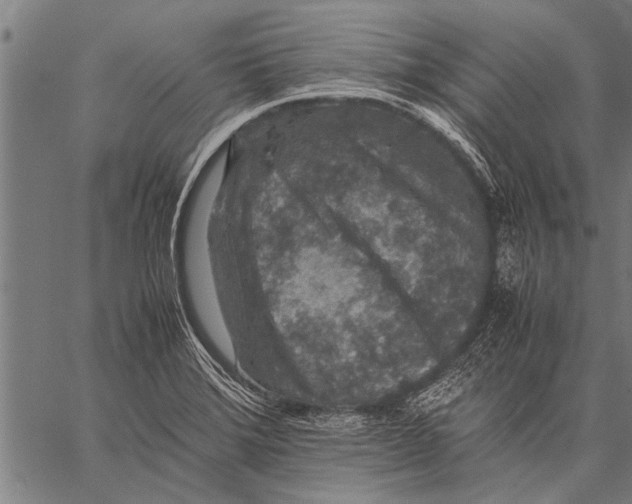 X0000057101372200509301606