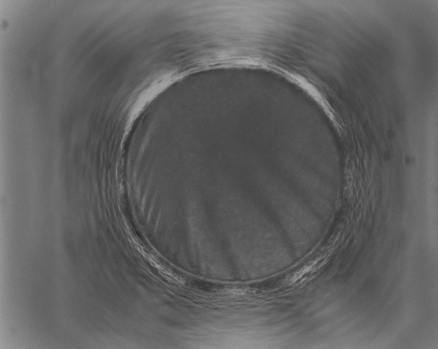 X0000057101373200509301606