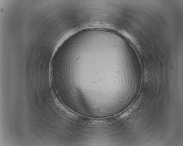 X0000057101374200509301606