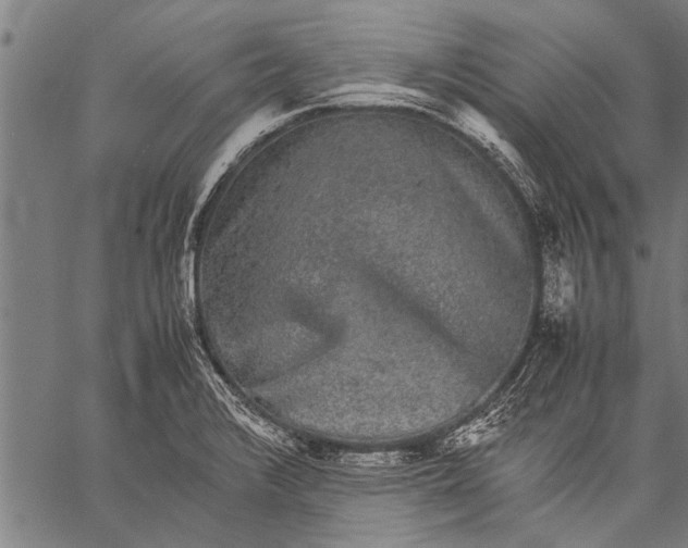 X0000057101376200509301606