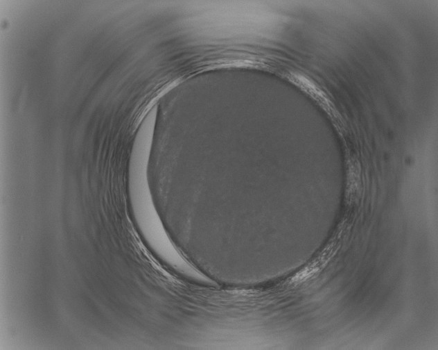 X0000057101377200509301606