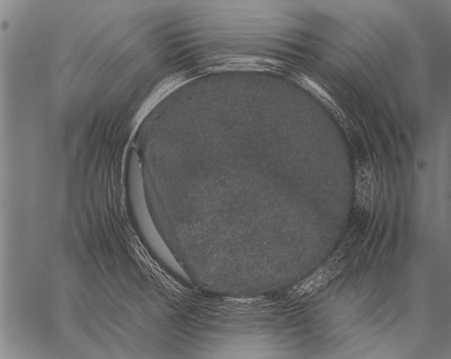 X0000057101378200509301606