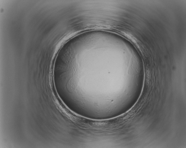 X0000057101379200509301606