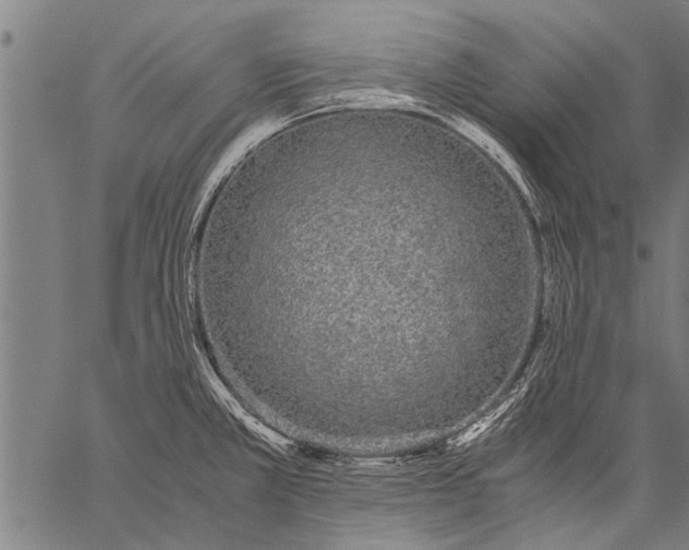 X0000057101381200509301606