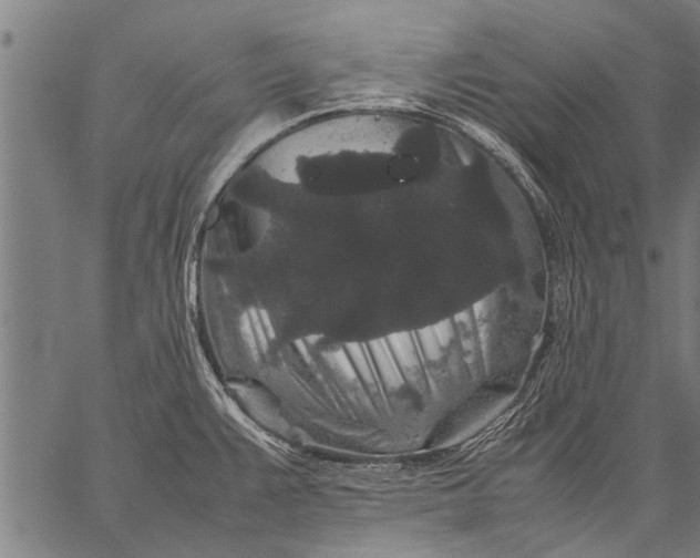 X0000057101383200509301606