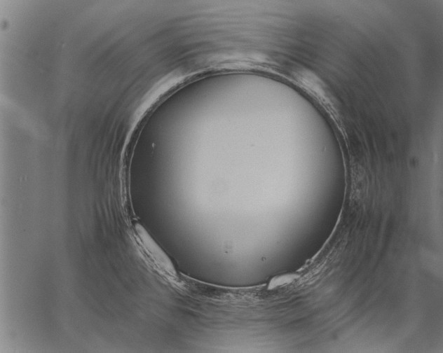 X0000057101384200509301605