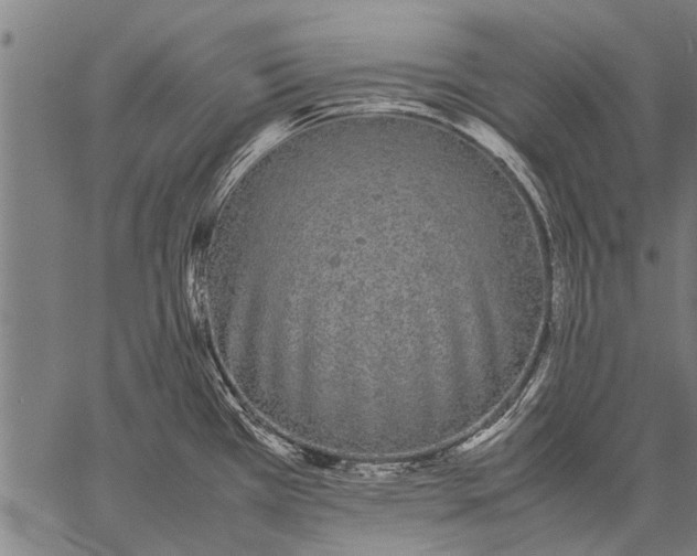 X0000057101385200509301605