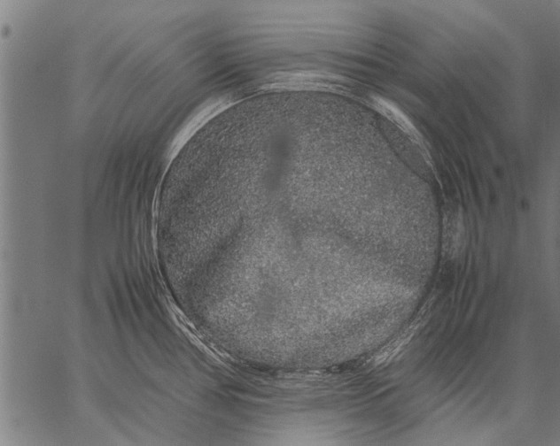 X0000057101386200509301605