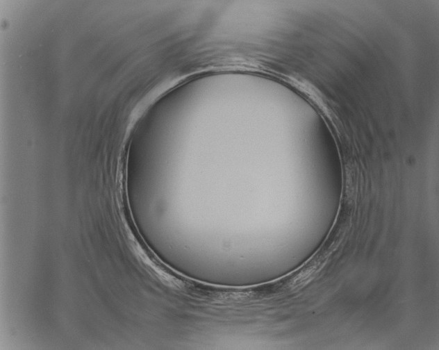 X0000057101387200509301605