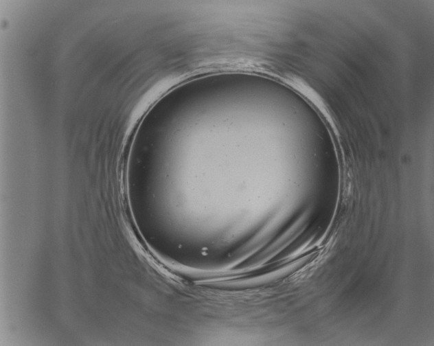 X0000057101389200509301605