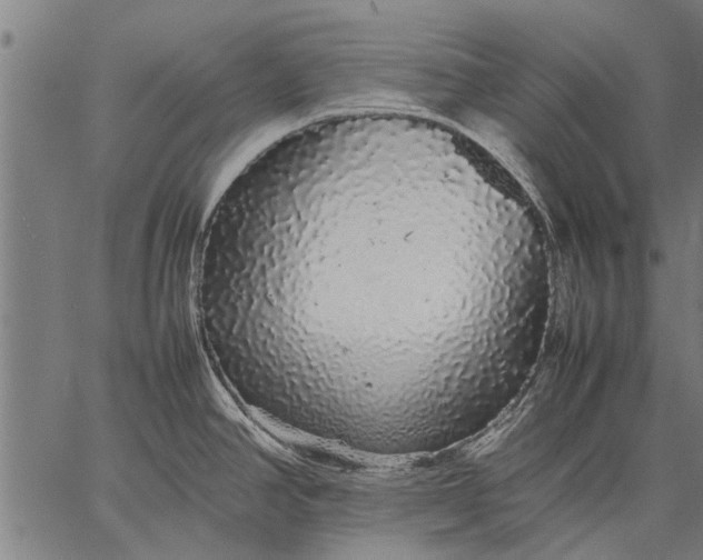 X0000057101390200509301605