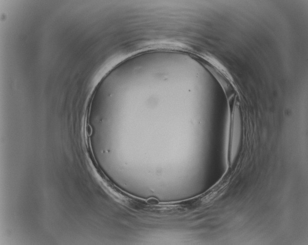 X0000057101391200509301605