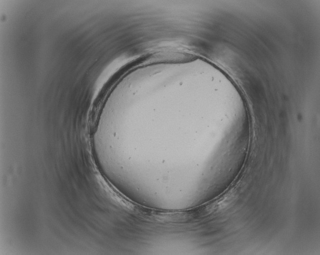 X0000057101392200509301605