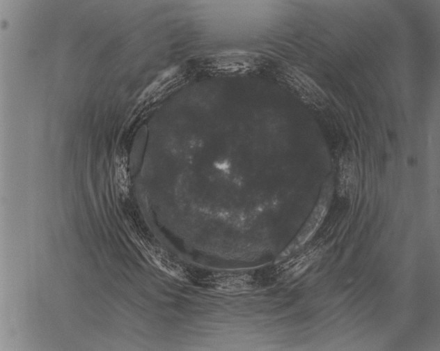 X0000057101394200509301605